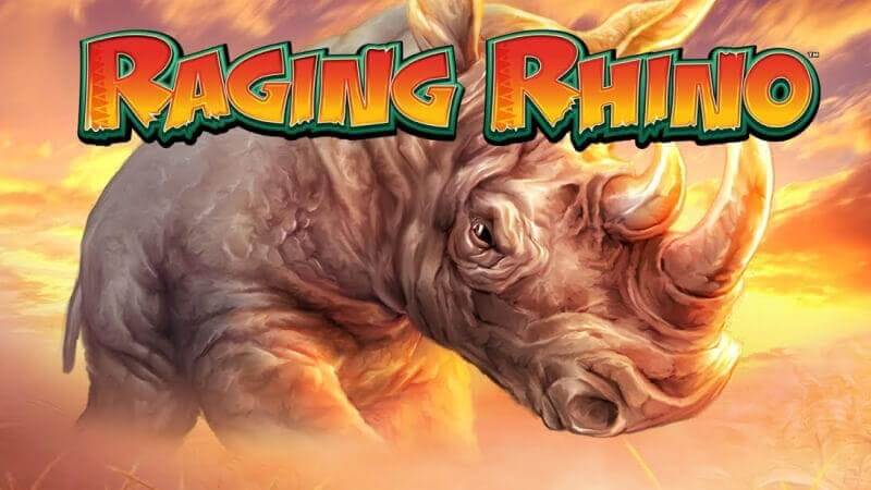 Raging Rhino Slot RTP